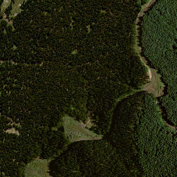 Satellite imagery of 8041, NZ