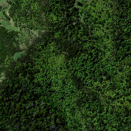 Satellite imagery of 7351 ORANGIWHAO NO 2, NZ