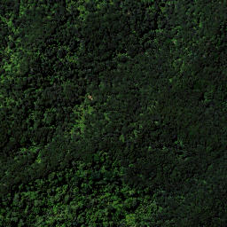 Satellite imagery of Heteri Point, NZ