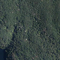 Satellite imagery of Oruaroa Point, NZ