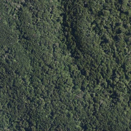 Satellite imagery of Oruaroa Point, NZ