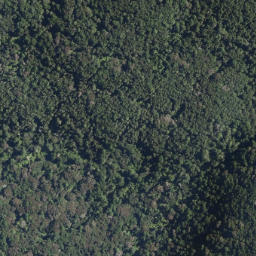 Satellite imagery of Oruaroa Point, NZ