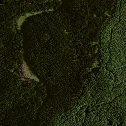 Satellite imagery of 8041, NZ