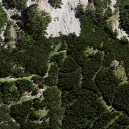 Satellite imagery of 8061, NZ