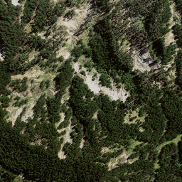 Satellite imagery of 8061, NZ