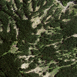 Satellite imagery of 8061, NZ