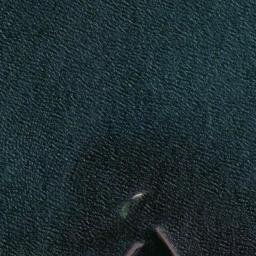 Satellite imagery of Limeburners Point, AU