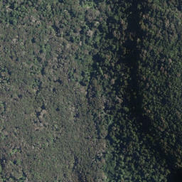 Satellite imagery of Oruaroa Point, NZ