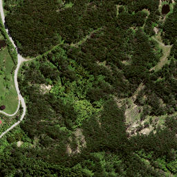 Satellite imagery of 8051, NZ
