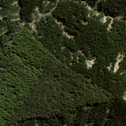 Satellite imagery of 8061, NZ