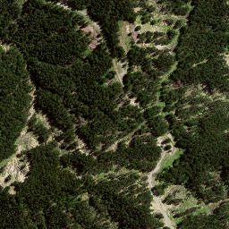Satellite imagery of 8061, NZ