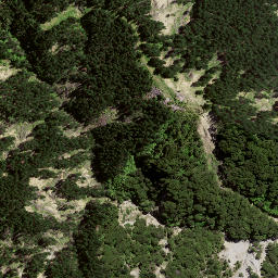 Satellite imagery of 8061, NZ