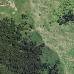 Satellite imagery of 8063, NZ