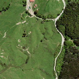 Satellite imagery of 8051, NZ