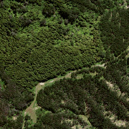 Satellite imagery of 8051, NZ