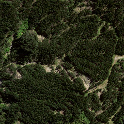 Satellite imagery of 8061, NZ