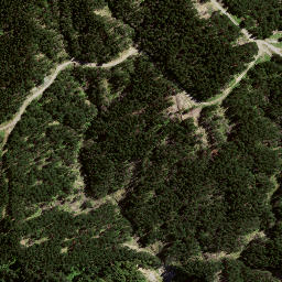 Satellite imagery of 8061, NZ