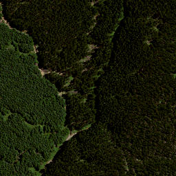 Satellite imagery of 8074, NZ