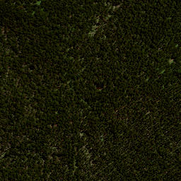 Satellite imagery of 8074, NZ