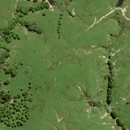 Satellite imagery of 8051, NZ