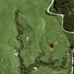 Satellite imagery of 8051, NZ