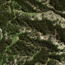 Satellite imagery of 8051, NZ
