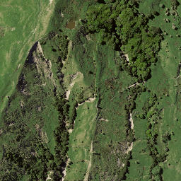Satellite imagery of 8095, NZ