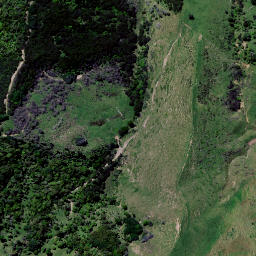 Satellite imagery of 7352, NZ