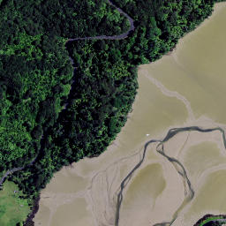 Satellite imagery of Te Arero Point, NZ