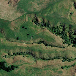 Satellite imagery of 7353, NZ