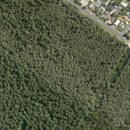 Satellite imagery of Tokorangi Pa, NZ