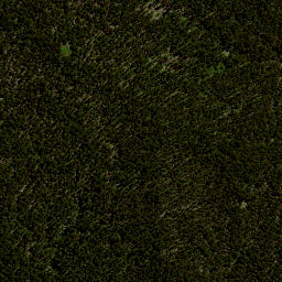 Satellite imagery of 8074, NZ