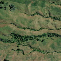Satellite imagery of 7353, NZ