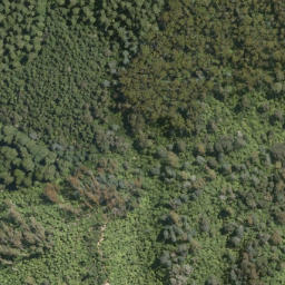 Satellite imagery of Tokorangi Pa, NZ