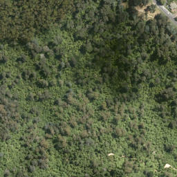 Satellite imagery of Tokorangi Pa, NZ