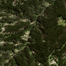 Satellite imagery of 176A WHAKAUMU, NZ