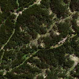 Satellite imagery of 176A WHAKAUMU, NZ