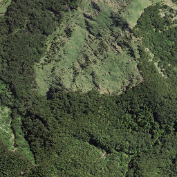 Satellite imagery of 179 TOIROA, NZ