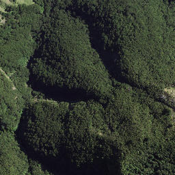 Satellite imagery of 179 TOIROA, NZ