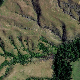 Satellite imagery of 7353, NZ