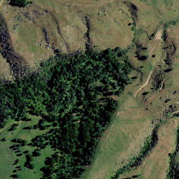Satellite imagery of 7353, NZ