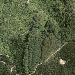 Satellite imagery of Tokorangi Pa, NZ