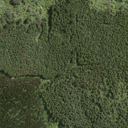 Satellite imagery of Tokorangi Pa, NZ