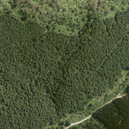 Satellite imagery of Tokorangi Pa, NZ