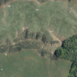 Satellite imagery of Te Miro Point, NZ