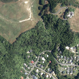 Satellite imagery of Te Miro Point, NZ