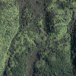 Satellite imagery of Te Toitoi Point, NZ