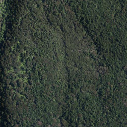 Satellite imagery of Te Toitoi Point, NZ