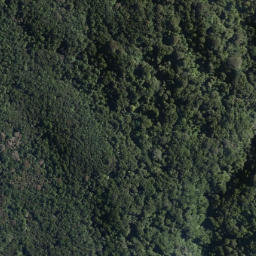 Satellite imagery of Te Toitoi Point, NZ