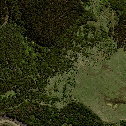 Satellite imagery of 8076, NZ